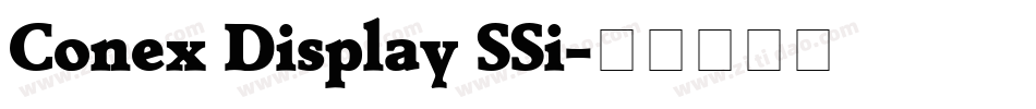 Conex Display SSi字体转换